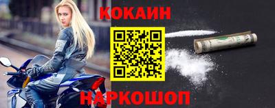 гашик Моздок