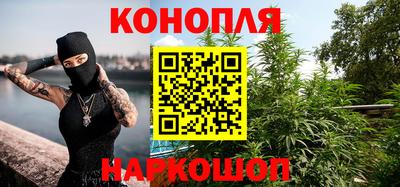 гашик Моздок