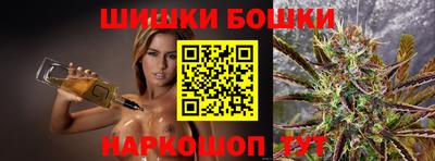 гашик Моздок