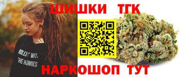 гашик Моздок