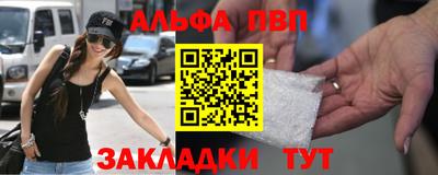 гашик Моздок