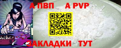 гашик Моздок